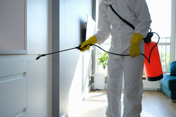 Professional Mold Removal in Hidden Springs, ID