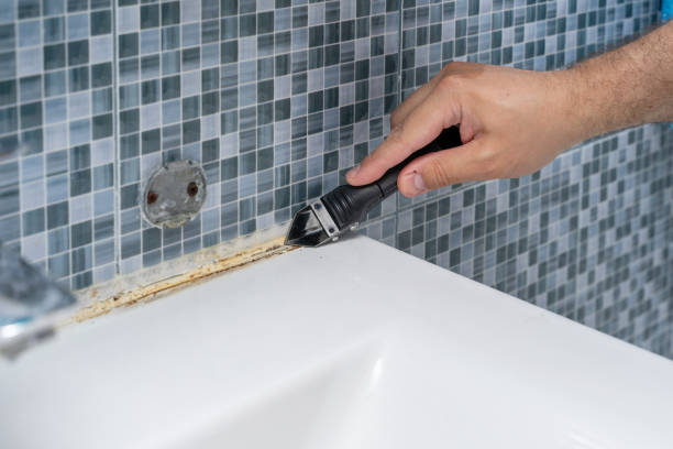 Best Certified Mold Removal  in Hden Springs, ID