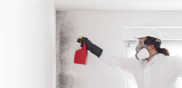 Best Crawl Space Mold Removal  in Hden Springs, ID