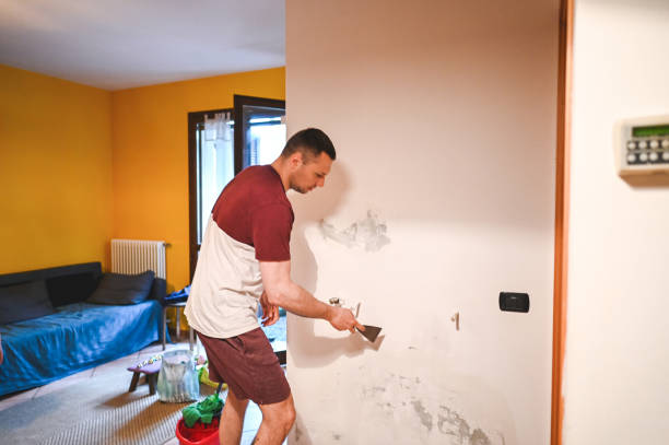 Crawl Space Mold Removal in Hidden Springs, ID